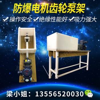 防爆電機(jī)齒輪泵組 (3)